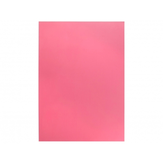 Liderpapel GE19 - Goma eva, espesor de 1,5 mm, 50 cm x 70 cm, color rosa