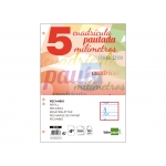 Liderpapel Pautaguía RC18 - Recambio para carpeta de anillas, tamaño cuarto, pauta de 5 mm, 100 hojas de 80 gr, 6 taladros, con margen