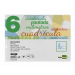 Liderpapel Pautaguía RC21 - Recambio para carpeta de anillas, tamaño cuarto apaisado, pauta de 6 mm, 100 hojas de 75 gr, 2 taladros, con margen
