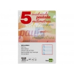 Liderpapel Pautaguía RF25 - Recambio para carpeta de anillas, tamaño A4, pauta de 5 mm, 100 hojas de 75 gr, 4 taladros, con margen