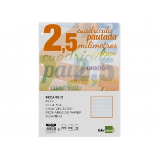 Liderpapel Pautaguía RF26 - Recambio para carpeta de anillas, tamaño A4, pauta de 2,5 mm, 100 hojas de 75 gr, 4 taladros, con margen
